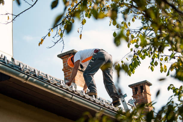 Best Metal Roofing Contractor  in Lemont Furnace, PA