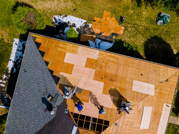 Best Storm Damage Roof Repair  in Lemont Furnace, PA